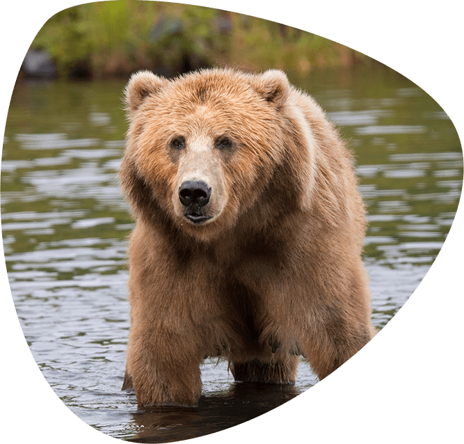 home_animals2_education1 home_animals2_education1