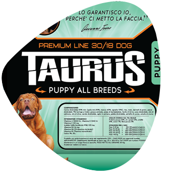 taurus-supernatura-puppy
