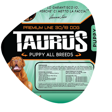 taurus-supernatura-puppy taurus-supernatura-puppy