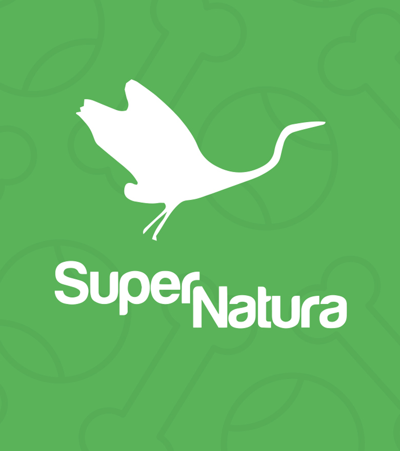 supernatura-blog